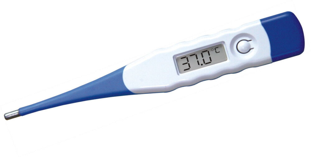 Digital Thermometer - Image 2